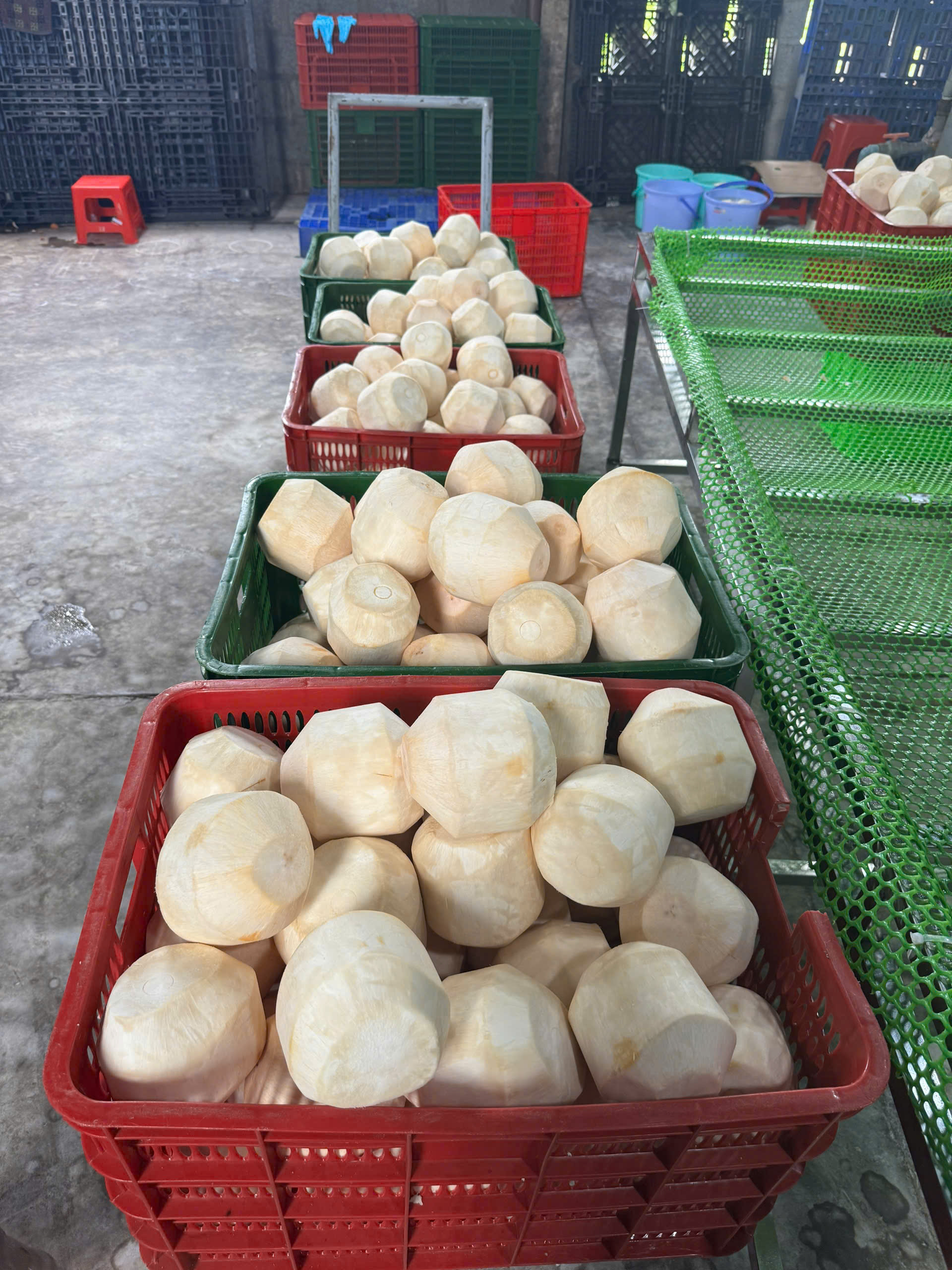 Dừa