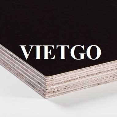 Thương vụ xuất khẩu gỗ dán phủ phim và ván gỗ sang thị trường Pháp