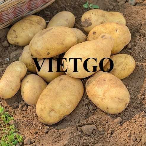 Cơ hội hợp tác xuất khẩu khoai tây đến thị trường Sri Lanka