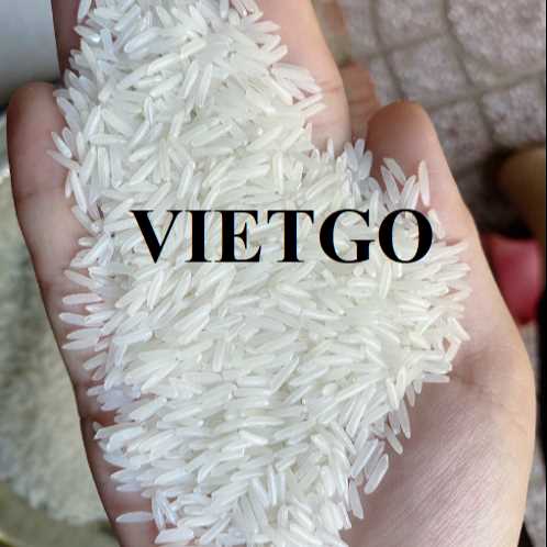 Cơ hội hợp tác xuất khẩu gạo cùng vị khách người Mỹ 