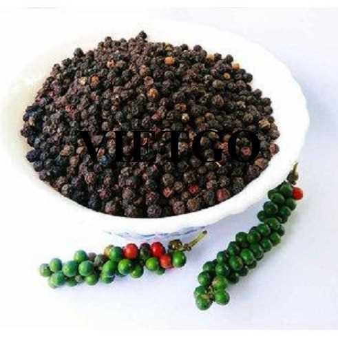 Cơ hội hợp tác xuất khẩu hạt tiêu đến thị trường Indonesia