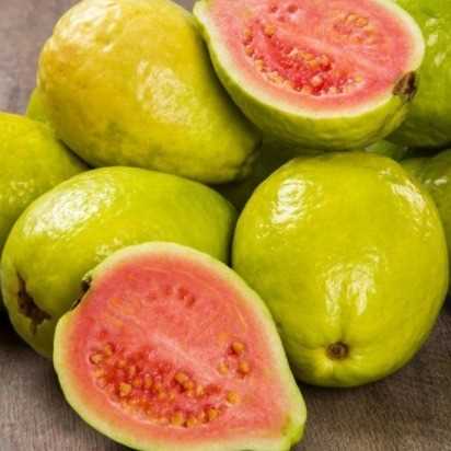 I want to buy guava 