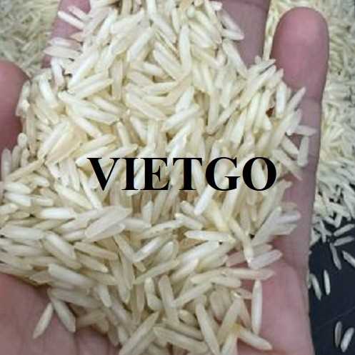 Cơ hội hợp tác xuất khẩu gạo Basmati cùng vị khách người Pháp