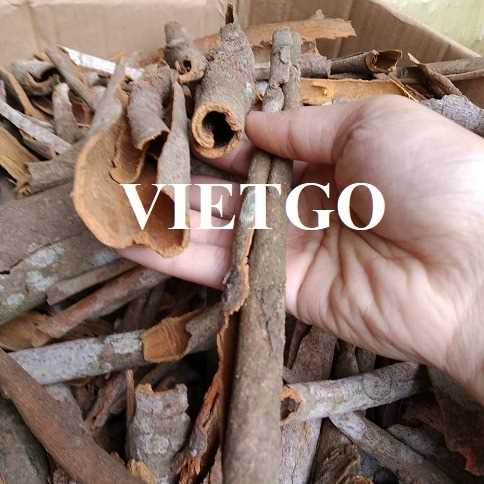 Thương vụ xuất khẩu quế vụn và hoa hồi sang thị trường Ấn Độ 