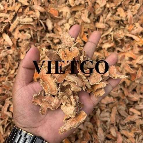 Cơ hội xuất khẩu nghệ khô sang thị trường Ấn Độ