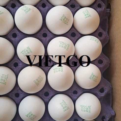 Thương vụ xuất khẩu trứng gà nâu và trứng gà trắng sang thị trường UAE