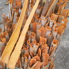 Cần tìm nhà cung cấp sản phẩm quế chẻ cho đơn hàng xuất khẩu