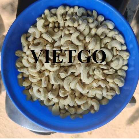 Cơ hội xuất khẩu hạt điều nhân trắng w320 và w240 sang thị trường Ấn Độ