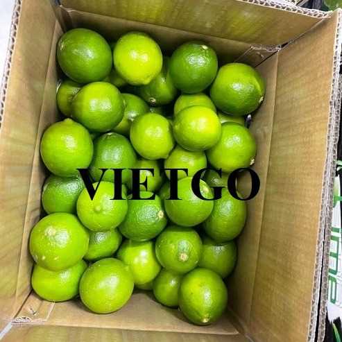 Cơ hội xuất khẩu chanh xanh không hạt sang thị trường Oman