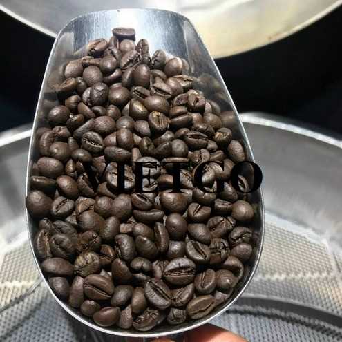 Cơ hội xuất khẩu hạt cà phê rang Arabica và Robusta sang Canada