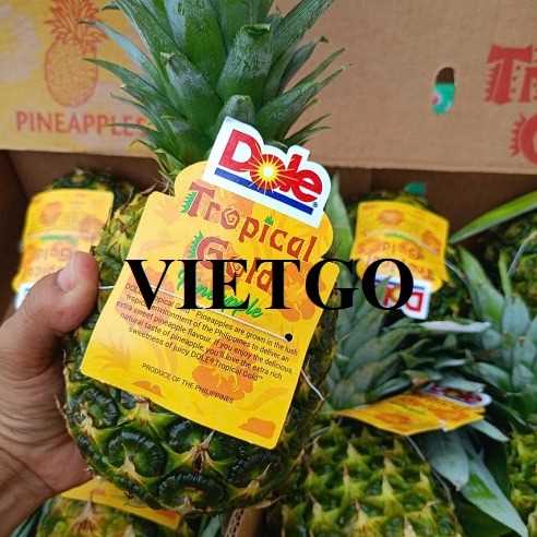 Cơ hội xuất khẩu dứa MD2 sang thị trường Oman