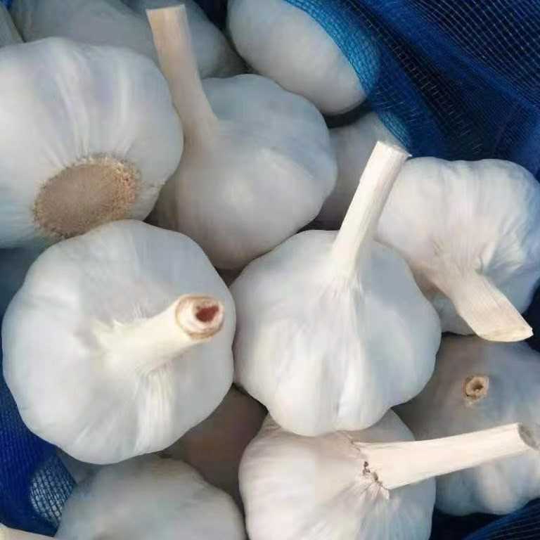 I want to buy garlic 