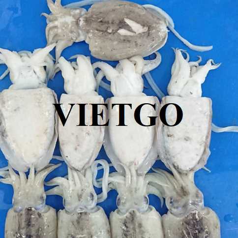 Cơ hội xuất khẩu mực nang sang thị trường Hàn Quốc