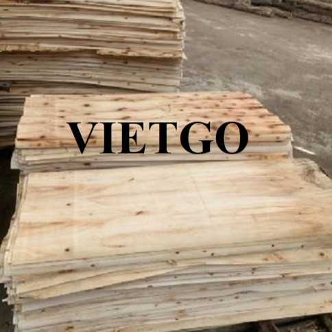 Thương vụ xuất khẩu ván bóc sang thị trường Hàn Quốc