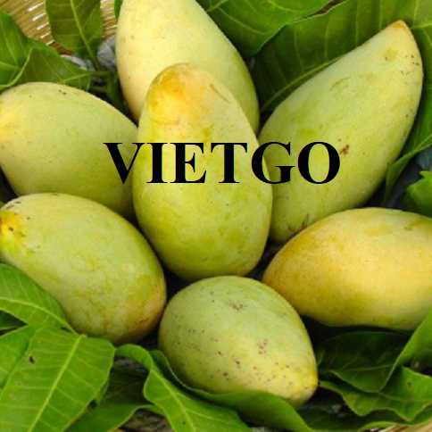 Cơ hội hợp tác xuất khẩu xoài đến thị trường Nhật Bản