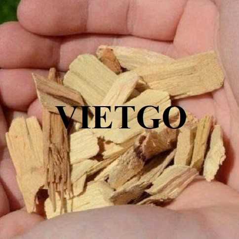 Thương vụ xuất khẩu gỗ vụn sang thị trường Ấn Độ