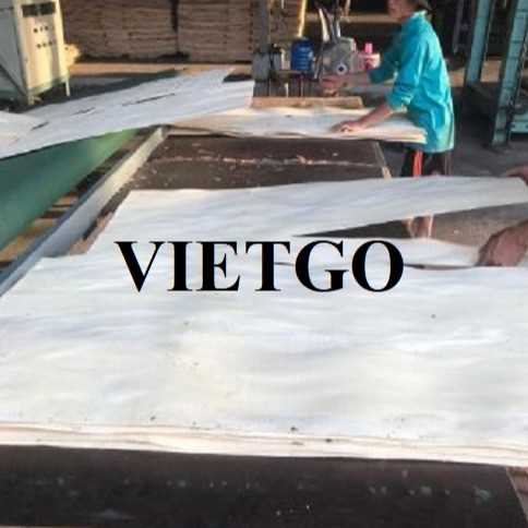 Thương vụ xuất khẩu ván bóc cao su sang thị trường Trung Quốc