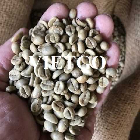 Cơ hội xuất khẩu hạt cà phê xanh Robusta sang thị trường Ấn Độ