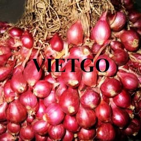 Thương vụ xuất khẩu hành sang thị trường Indonesia