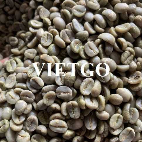 Cơ hội xuất khẩu hạt cà phê xanh Robusta và Arabica sang Tây Ban Nha