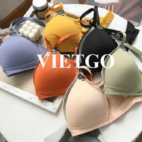 Cơ hội xuất khẩu áo lót nữ đến thị trường Hoa Kỳ