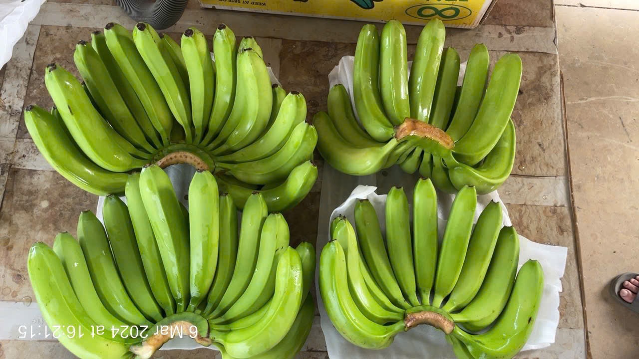 Fresh Cavendish Banana from Vietnam – Best Price & High Quality