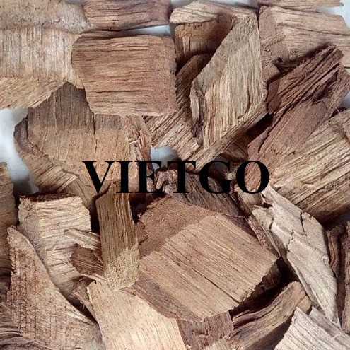 Thương vụ xuất khẩu gỗ vụn sang thị trường Ấn Độ
