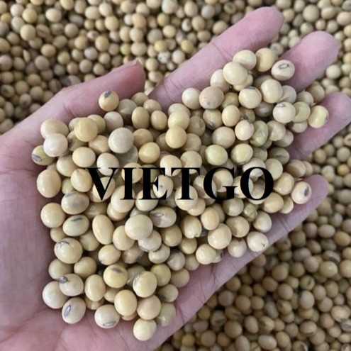 Cơ hội hợp tác xuất khẩu đậu nành sang thị trường Indonesia