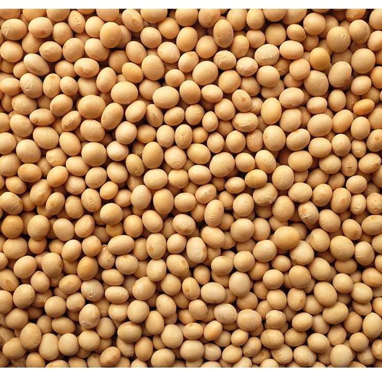 I want to buy soybean