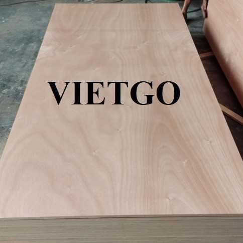Thương vụ xuất khẩu gỗ dán đến thị trường Ấn Độ