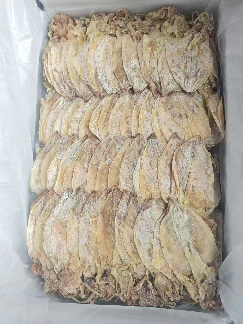 mực khô