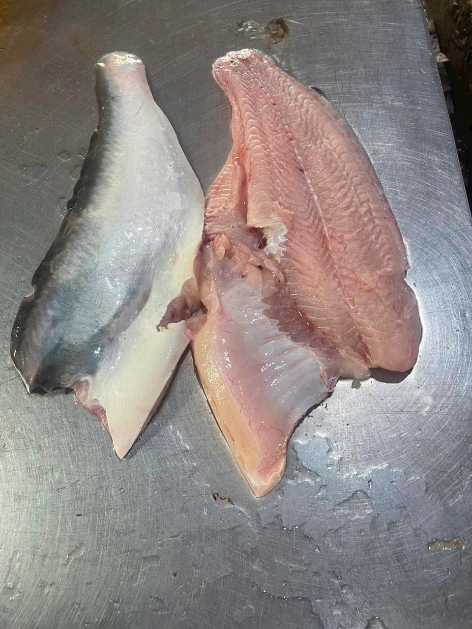 cá basa file