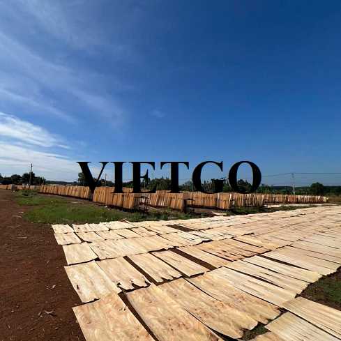 Thương vụ xuất khẩu ván bóc cao su sang thị trường Ấn Độ