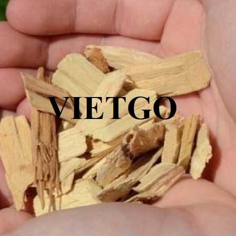 Thương vụ xuất khẩu gỗ vụn sang thị trường Trung Quốc