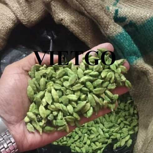 Cơ hội xuất khẩu thảo quả xanh sang thị trường Qatar, Oman và Bahrain