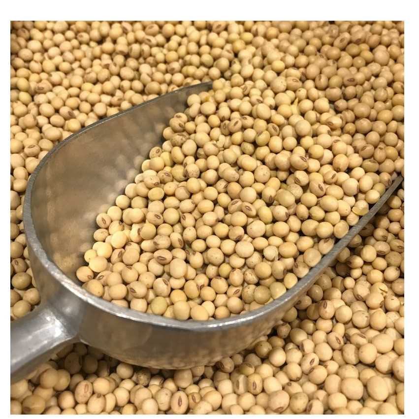 I want to buy soybean