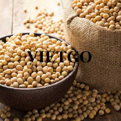 Cơ hội hợp tác xuất khẩu đậu nành đến thị trường Jordan