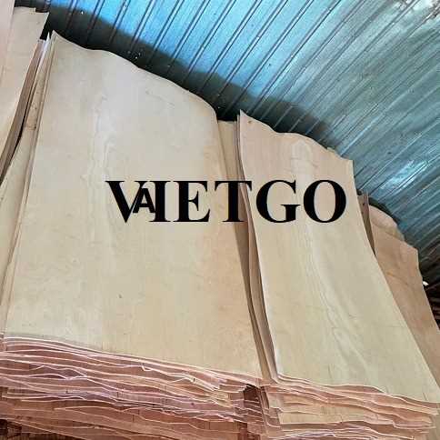 Thương vụ xuất khẩu ván bóc cao su sang thị trường Ấn Độ