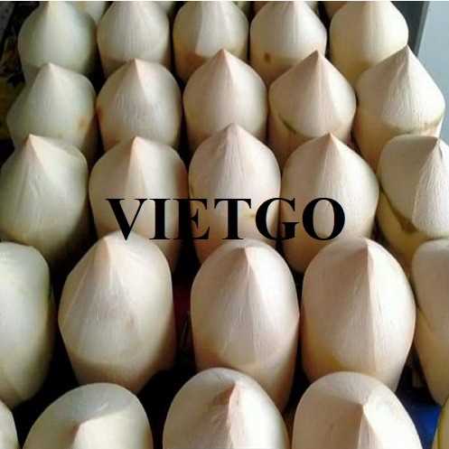Cơ hội xuất khẩu dừa sang thị trường Singapore
