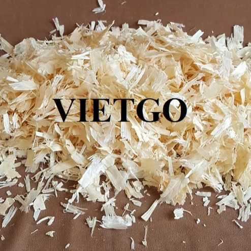 Thương vụ xuất khẩu dăm bào sang thị trường Ai Cập