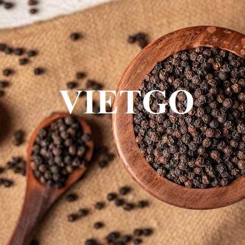 Cơ hội hợp tác xuất khẩu hạt tiêu đen sang thị trường Ấn Độ