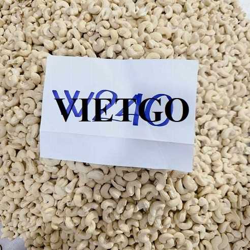 Cơ hội hợp tác xuất khẩu hạt điều w180 và w240 sang thị trường Georgia