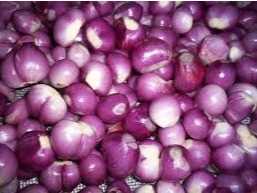 Cần tìm cước biển cho hàng hành tím đến cảng Rejang Lebong, Indonesia