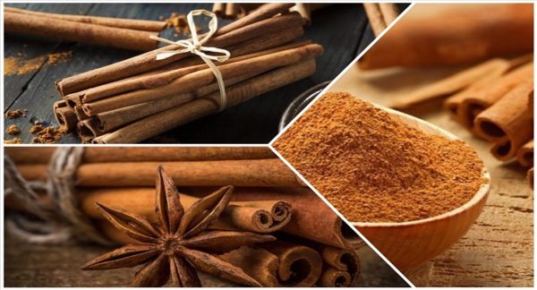 Dried Cinnamon