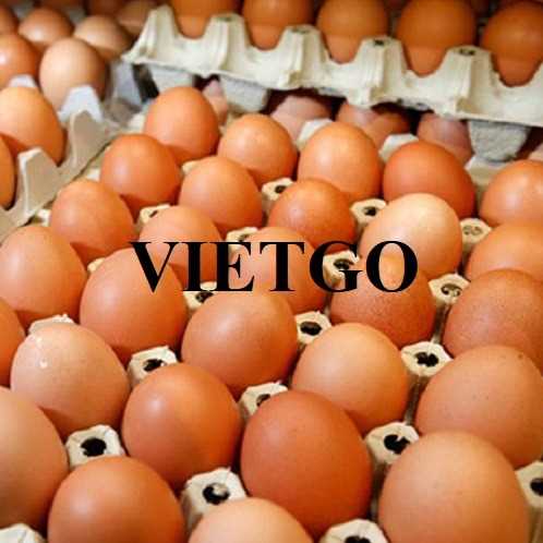 Cơ hội hợp tác xuất khẩu trứng sang thị trường Thổ Nhĩ Kỳ