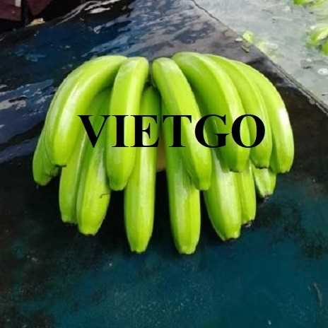 Cơ hội hợp tác xuất khẩu chuối đến thị trường Ả Rập Xê Út