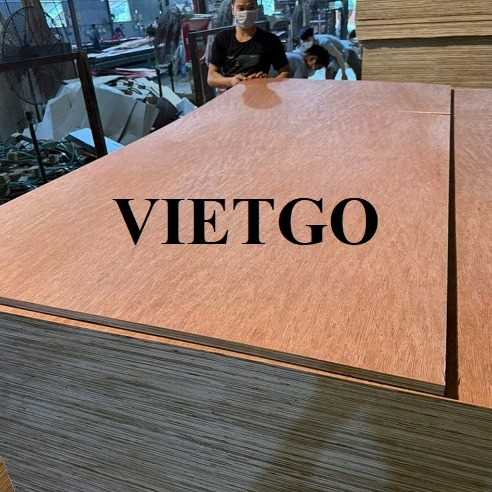 Cơ hội xuất khẩu gỗ dán sang thị trường Ấn Độ