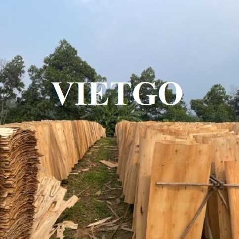 Cơ hội xuất khẩu ván bóc sang thị trường Ấn Độ