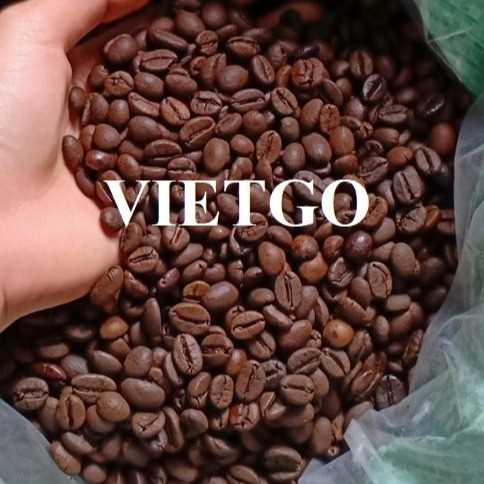 Thương vụ hợp tác xuất khẩu hạt cà phê sang thị trường Hà Lan