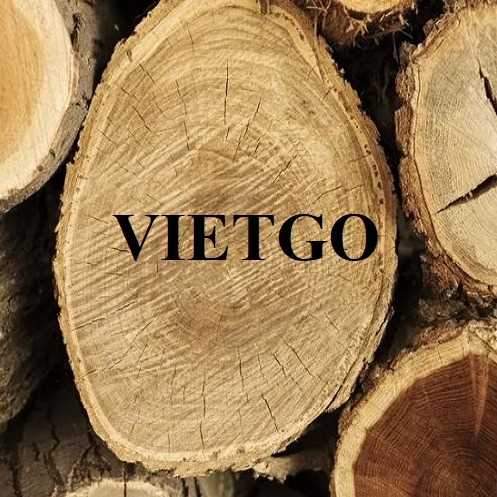 Cơ hội xuất khẩu gỗ bạch đàn tròn sang thị trường Ấn Độ